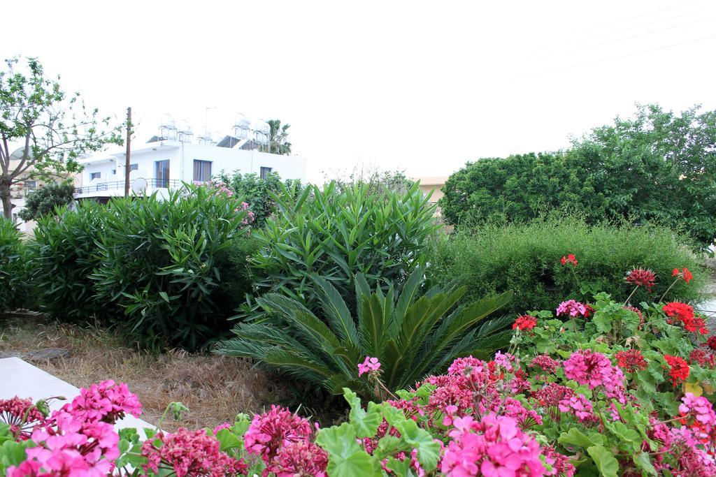 Constantia Gardens Apartments Paphos Exterior foto